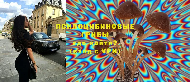 Псилоцибиновые грибы MAGIC MUSHROOMS  где можно купить   Новоаннинский 